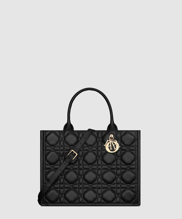 [DIOR-디올] Book Tote 미디엄 백  M1324OWHP
